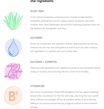 Load image into Gallery viewer, Humid Weather Gel Clever Curl